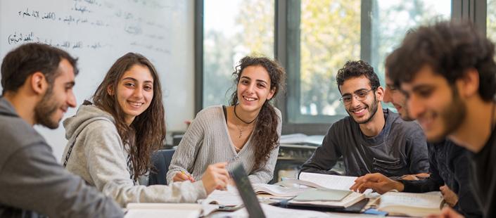 ערבית דו חוגי מובנה