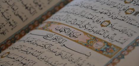 Muslim Theology and Hadith Literature